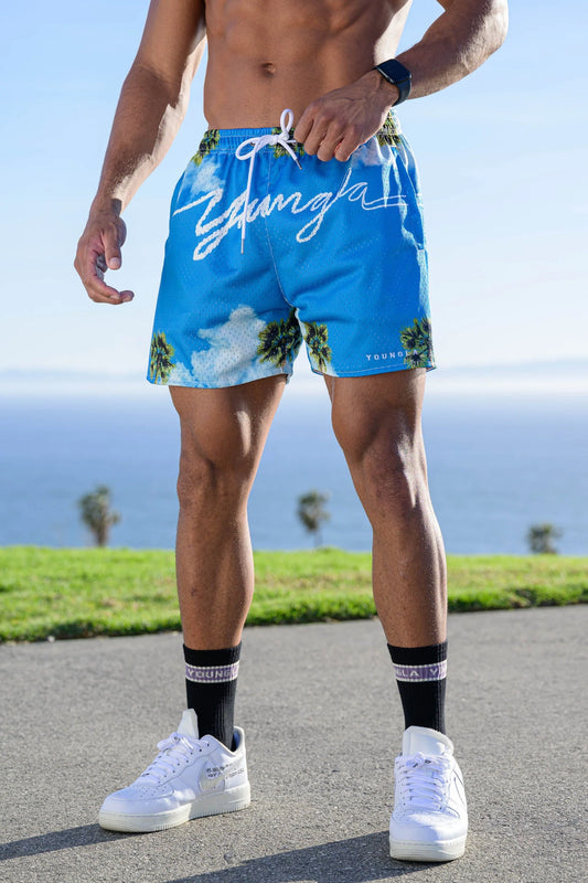 141 THE BLOCK PARTY SHORTS - NUBES