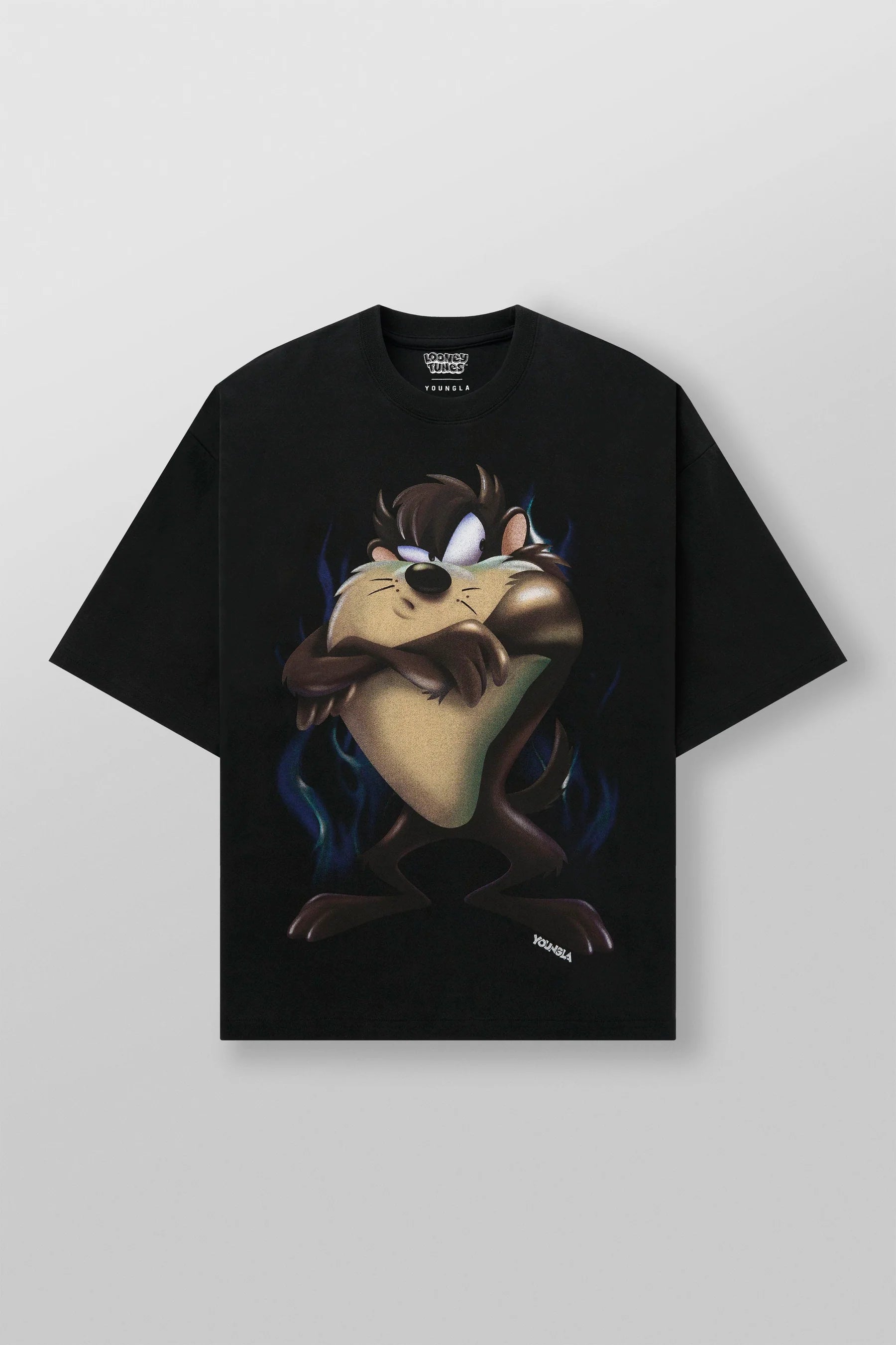 CAMISETA YLA LOONEY TUNES CHARACTER TAZ