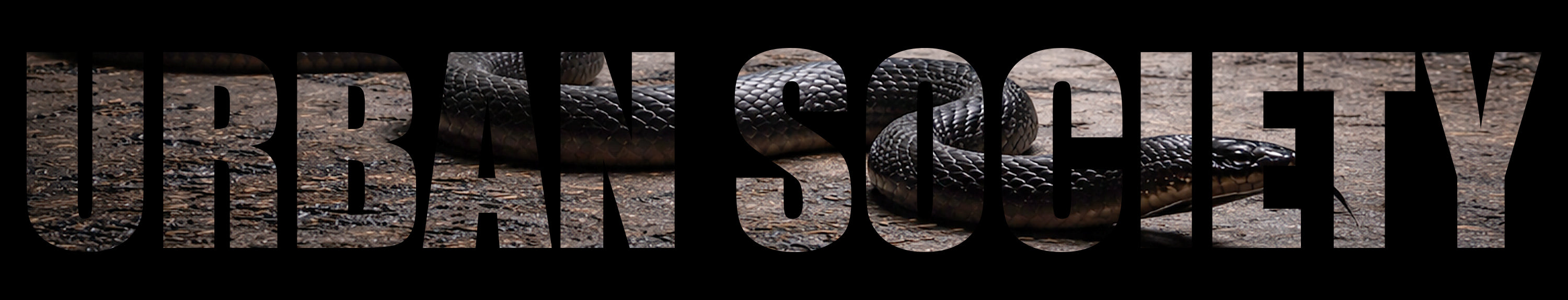Urban Society