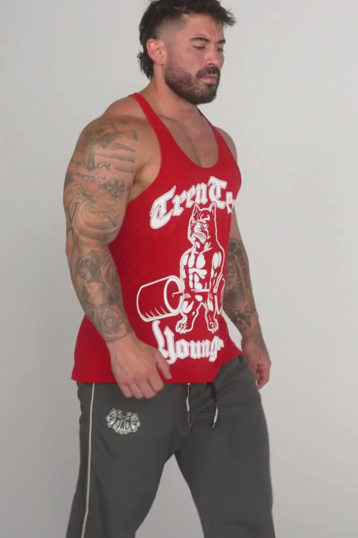 3013 - TREN TWINS DOUBLE D STRINGERS