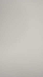 8009 - CLASE LONGSLEEVES - OLIVA